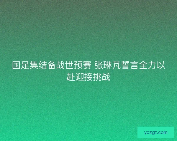 国足集结备战世预赛 张琳芃誓言全力以赴迎接挑战